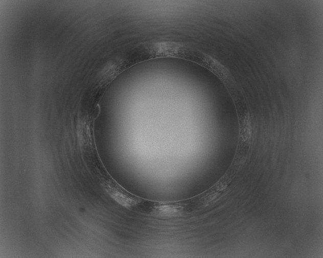 X0000052980522200507081126