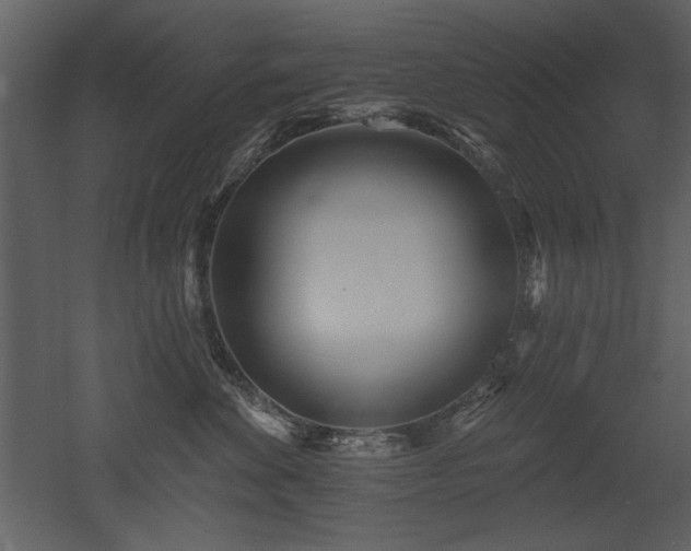 X0000052980524200507081126