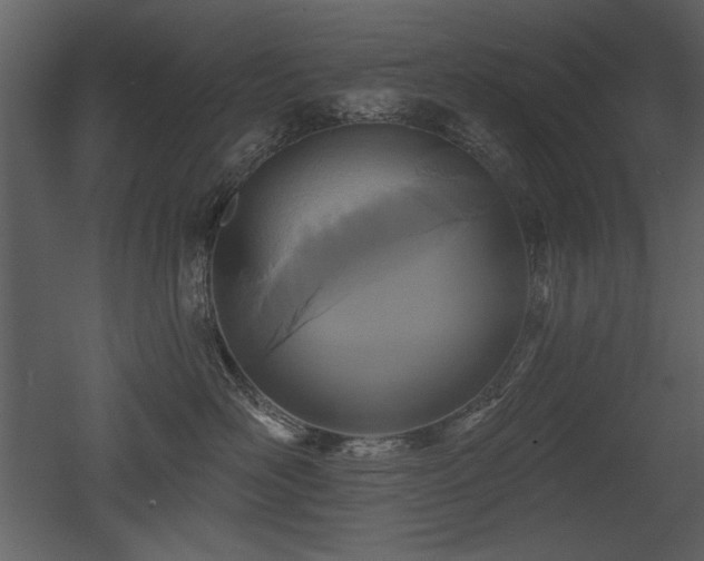 X0000052980526200507081126