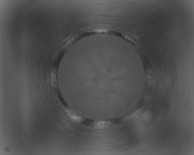 X0000052980527200507081126