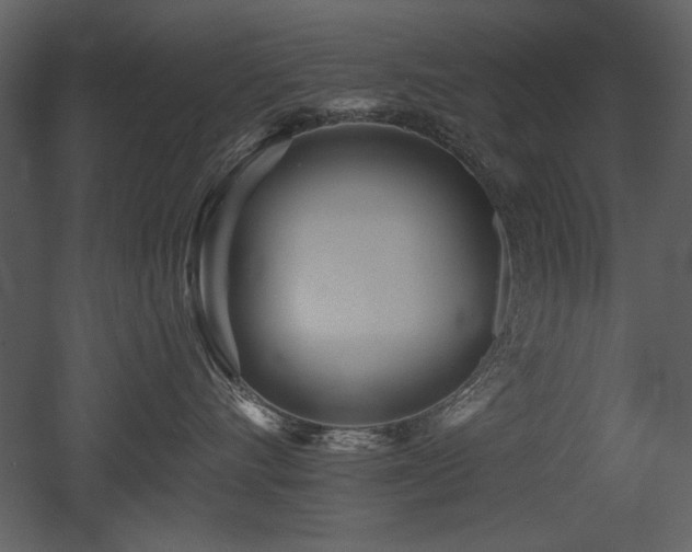 X0000052980528200507081126