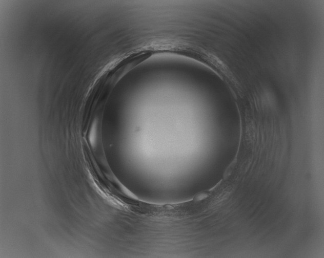 X0000052980530200507081125