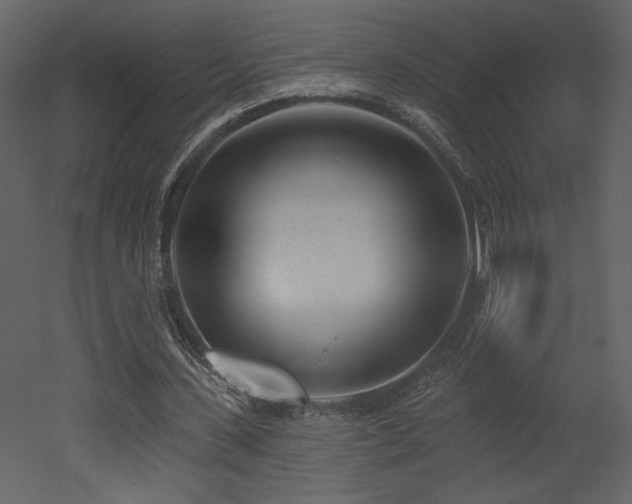 X0000052980531200507081125