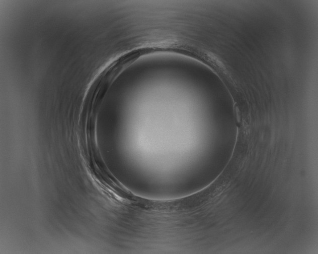 X0000052980532200507081125