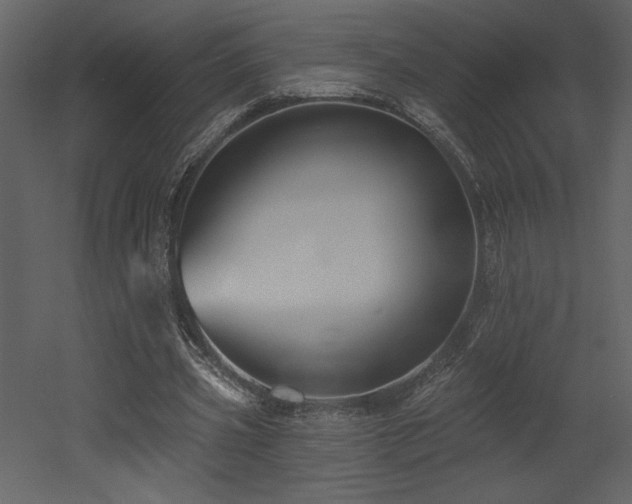 X0000052980533200507081125