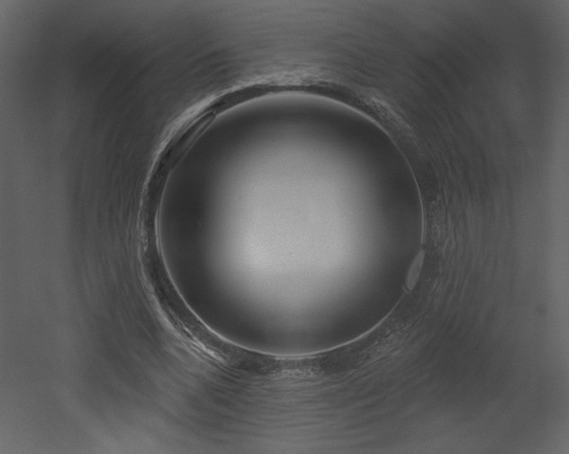 X0000052980536200507081125