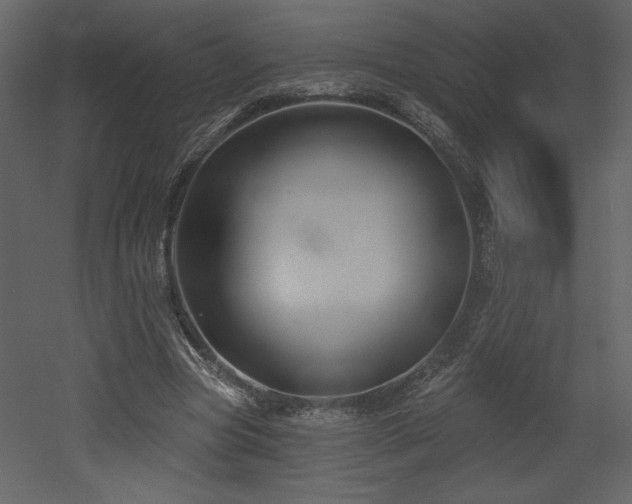 X0000052980537200507081125