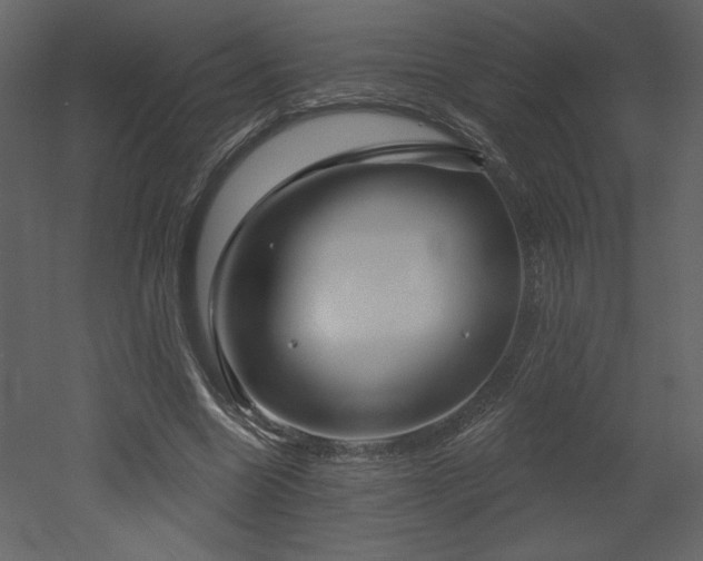 X0000052980538200507081125