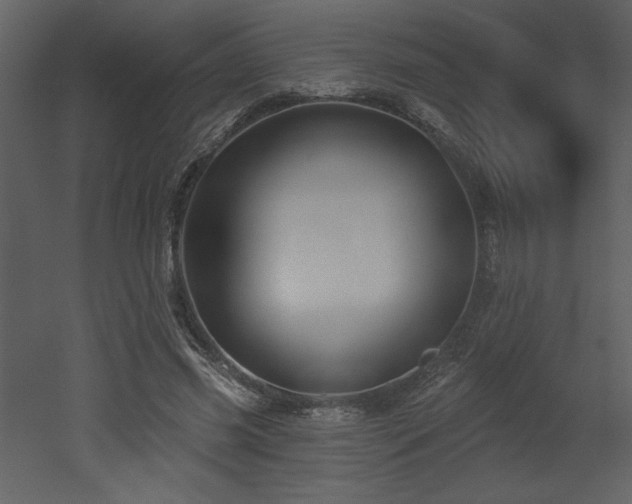 X0000052980541200507081125