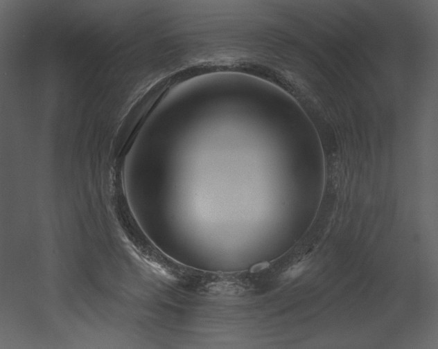 X0000052980544200507081125