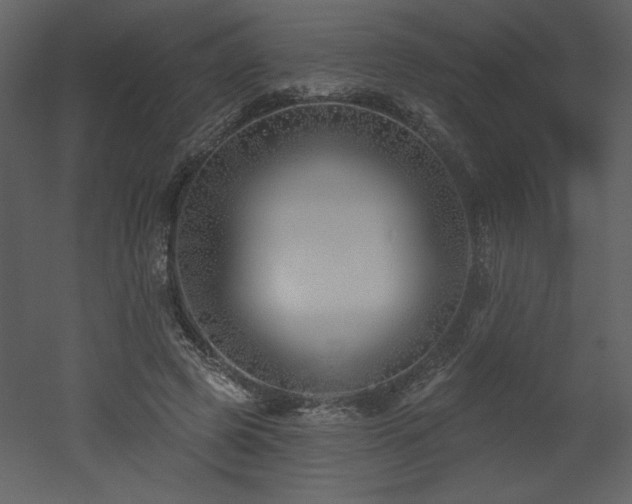 X0000052980545200507081125
