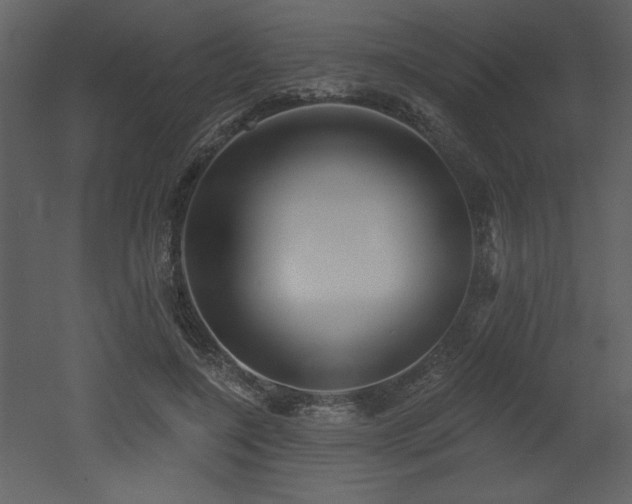 X0000052980548200507081125