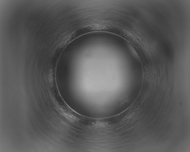 X0000052980549200507081125