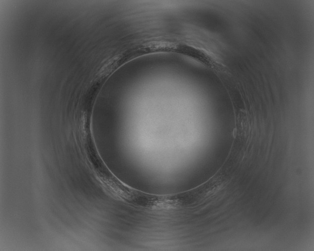 X0000052980550200507081125