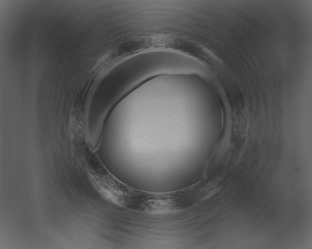 X0000052980552200507081125