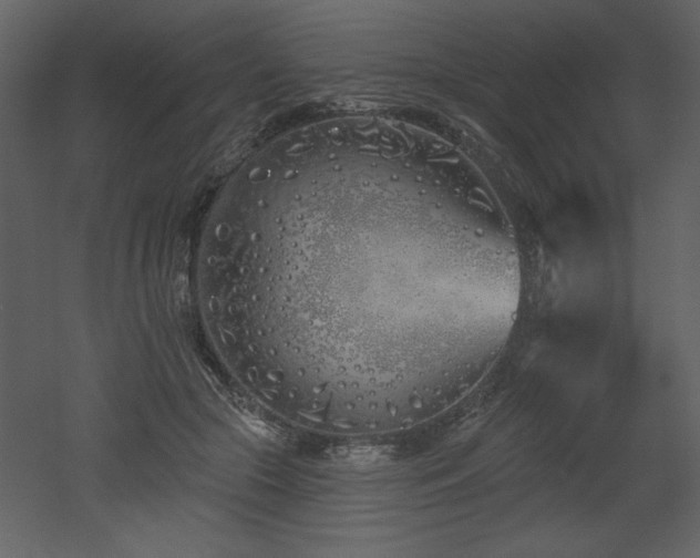 X0000052980553200507081125