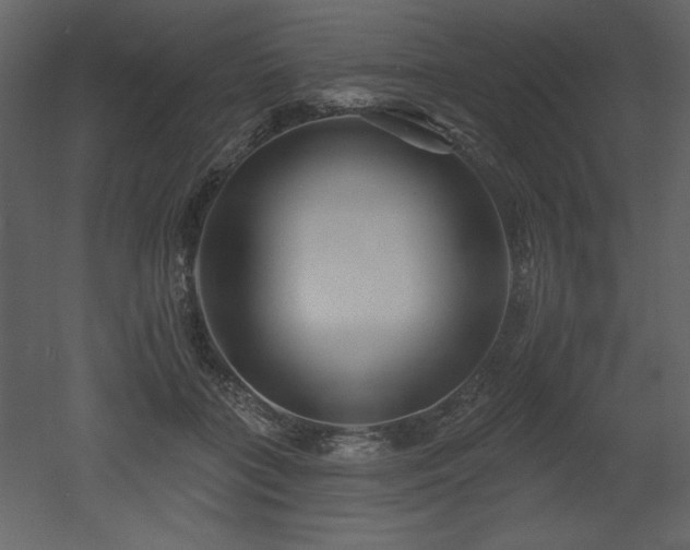 X0000052980555200507081125