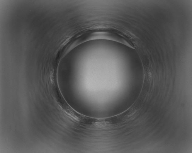 X0000052980556200507081125