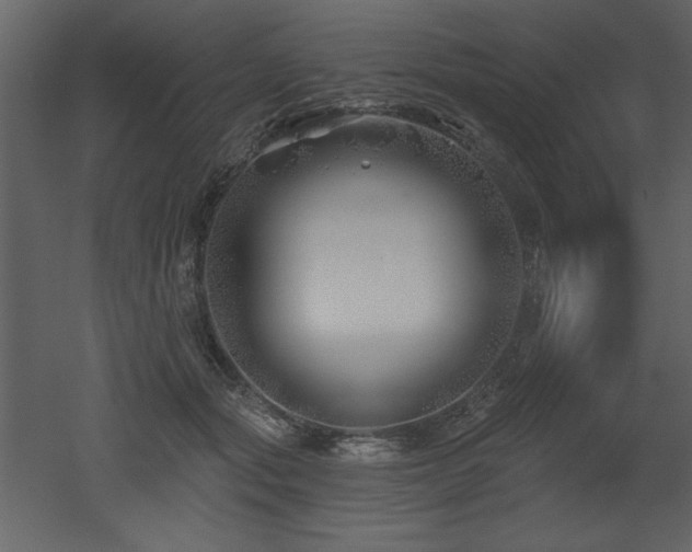 X0000052980557200507081126