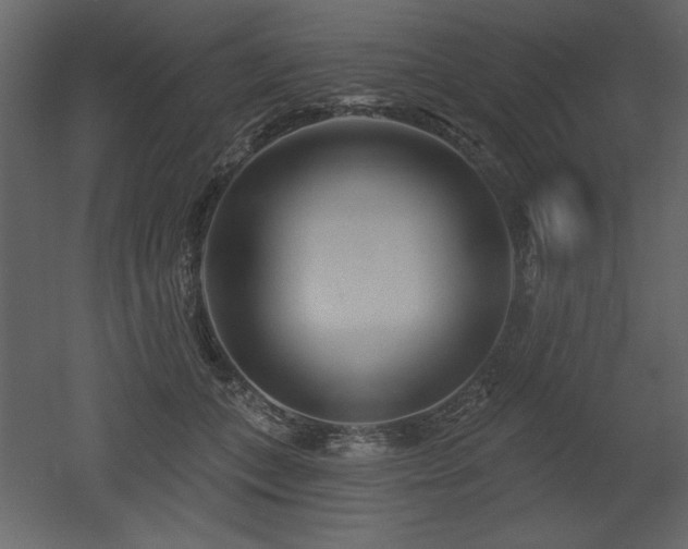 X0000052980559200507081126