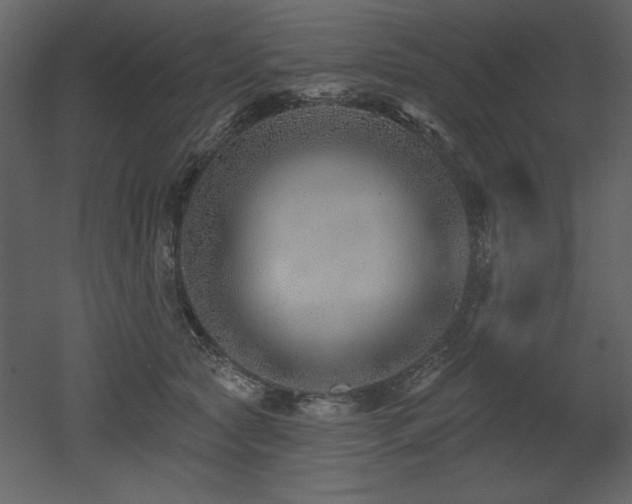X0000052980561200507081126