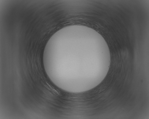 X0000052980562200507081126