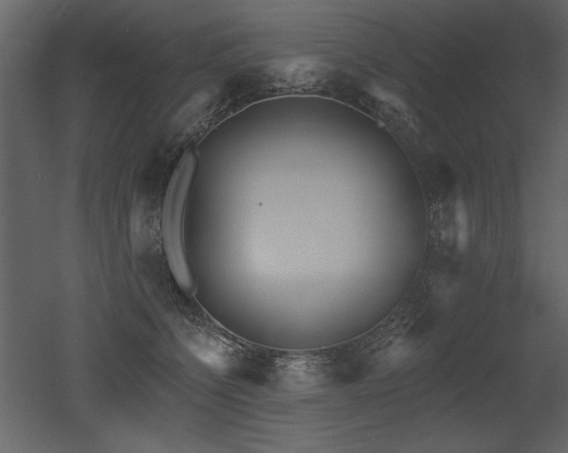 X0000052980564200507081126