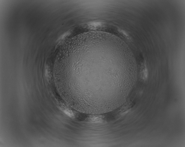 X0000052980569200507081126