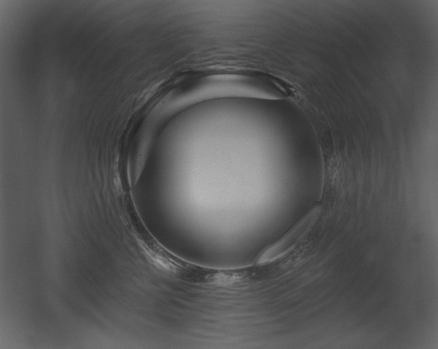 X0000052980570200507081126