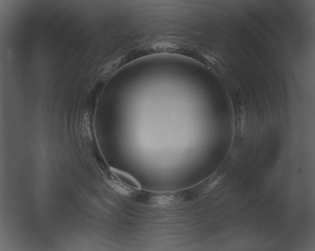 X0000052980575200507081126
