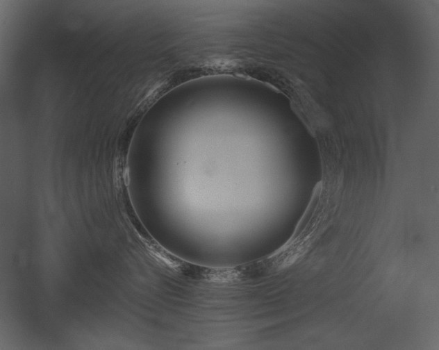 X0000052980576200507081126