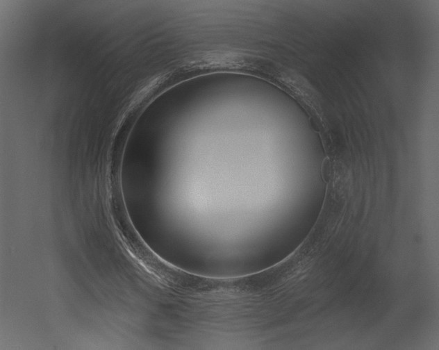 X0000052980578200507081125