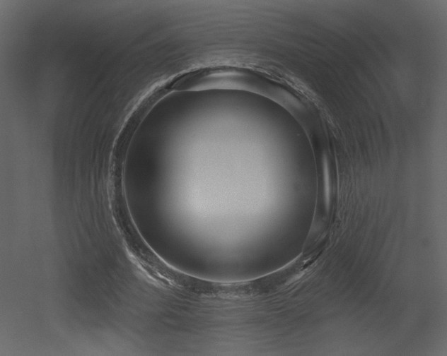 X0000052980580200507081125