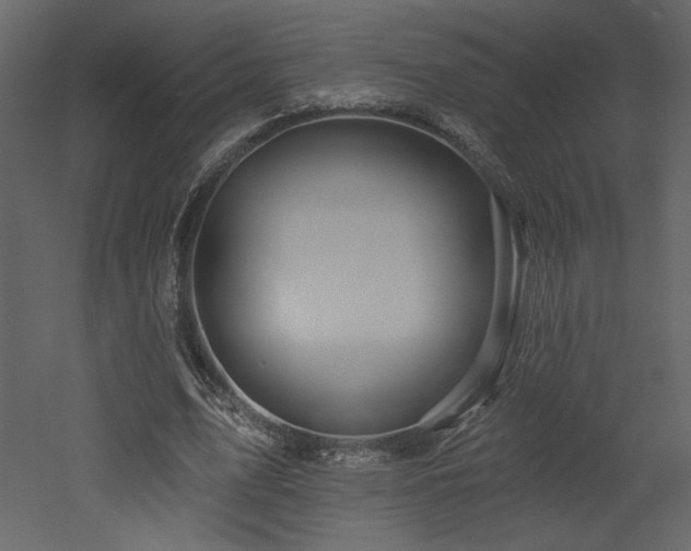 X0000052980583200507081125