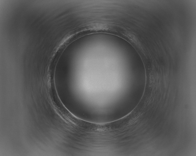 X0000052980584200507081125