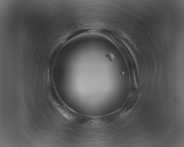 X0000052980589200507081125