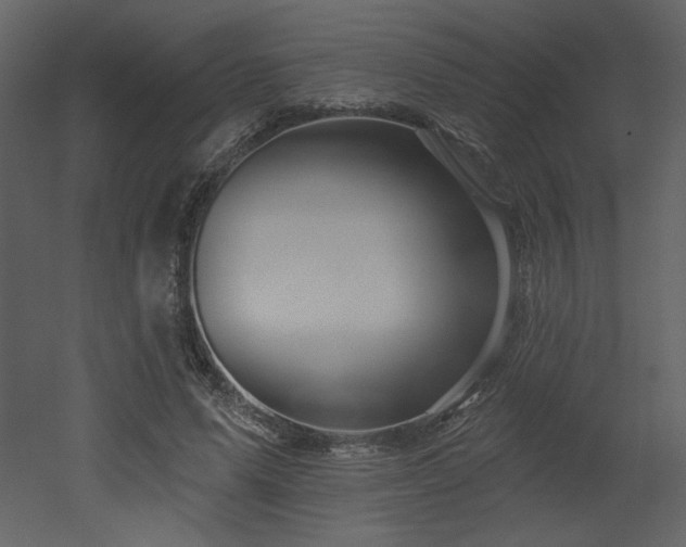X0000052980591200507081125