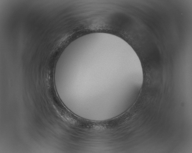 X0000052980592200507081125
