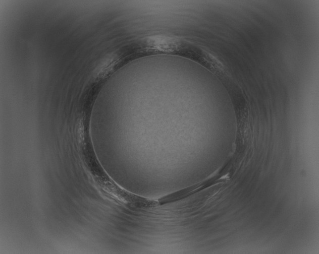 X0000052980595200507081125