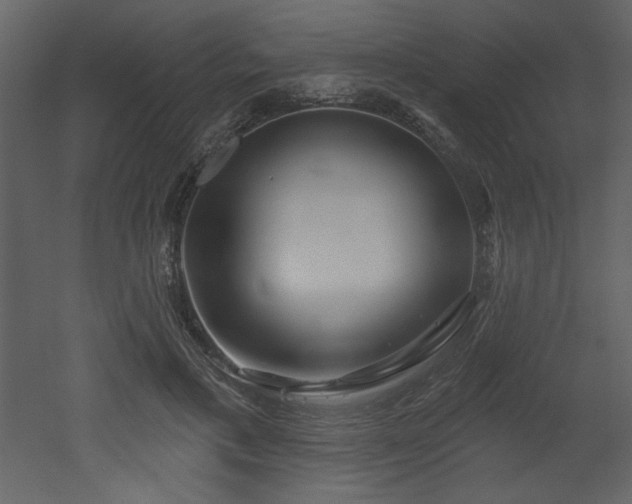 X0000052980597200507081125