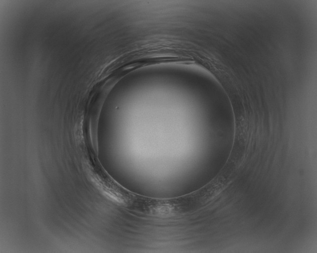 X0000052980600200507081125