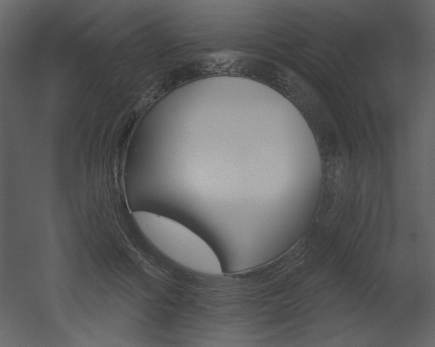 X0000052980602200507081125