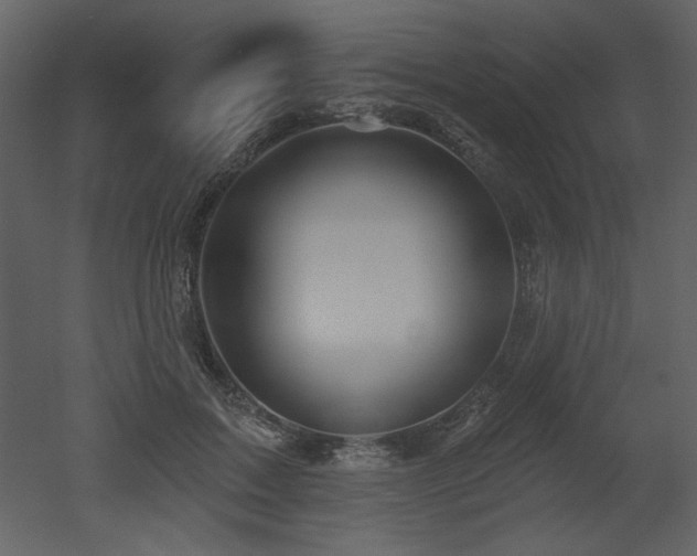 X0000052980603200507081125