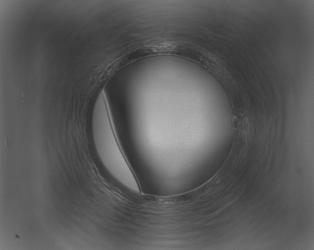 X0000052980604200507081125