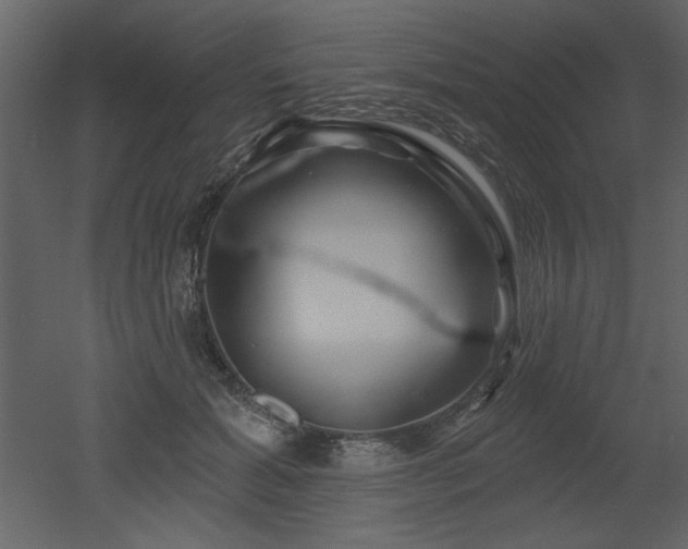 X0000052980605200507081125