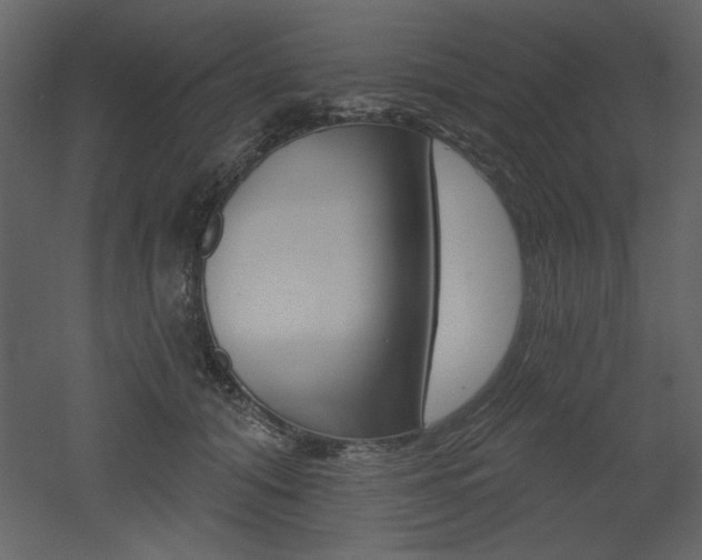 X0000052980608200507081124