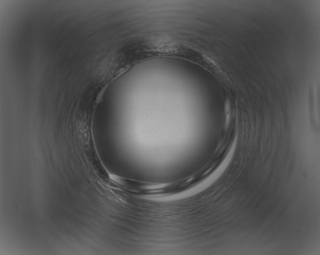 X0000052980609200507081124