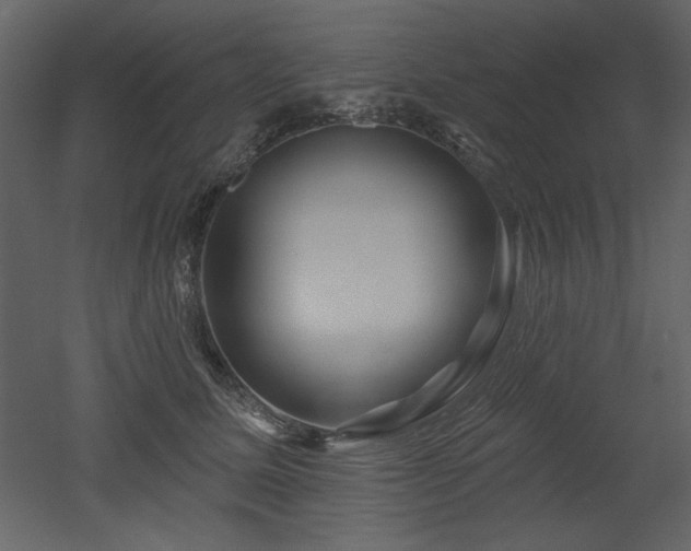 X0000052980611200507081124