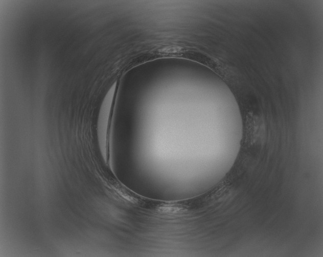 X0000052980614200507081124