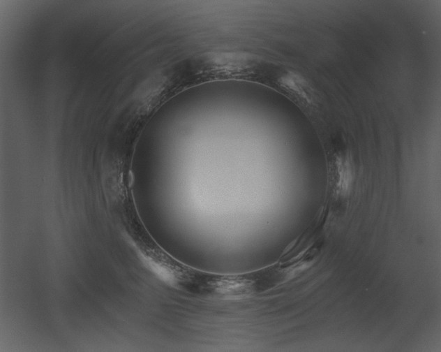 X0000052980615200507081124